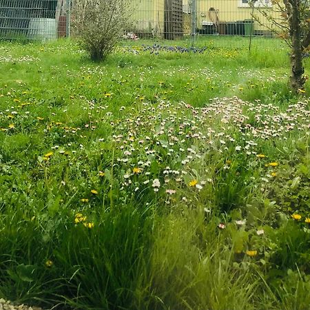 Ferienwohnung Feldmann Freckenfeld Luaran gambar