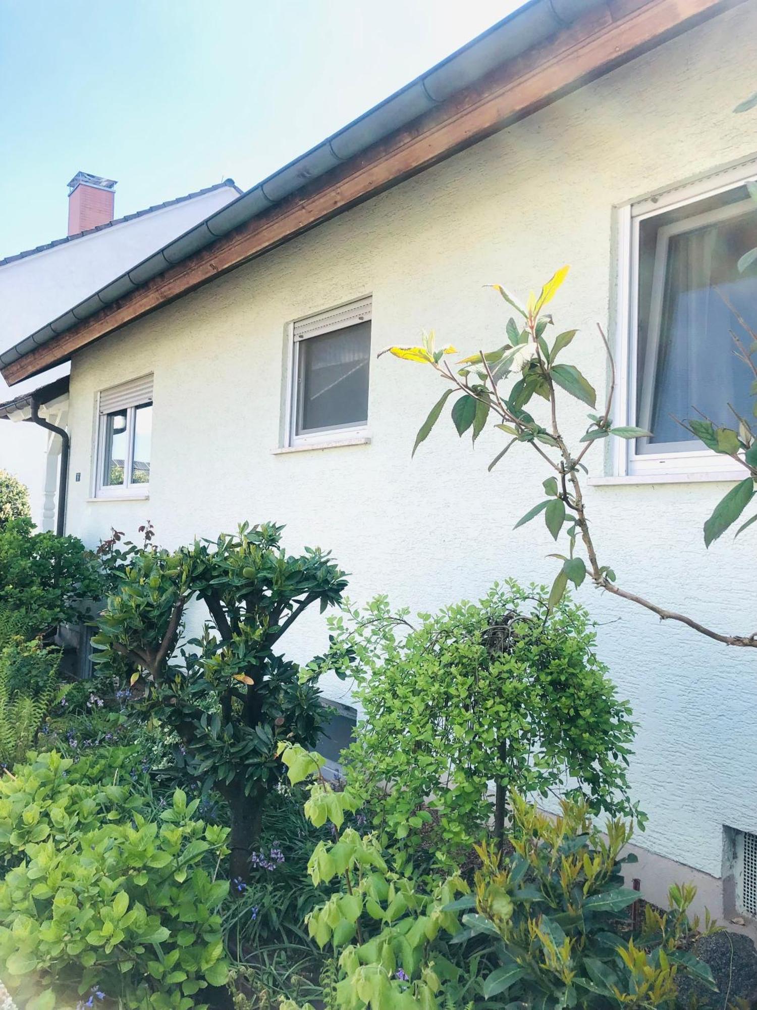 Ferienwohnung Feldmann Freckenfeld Luaran gambar